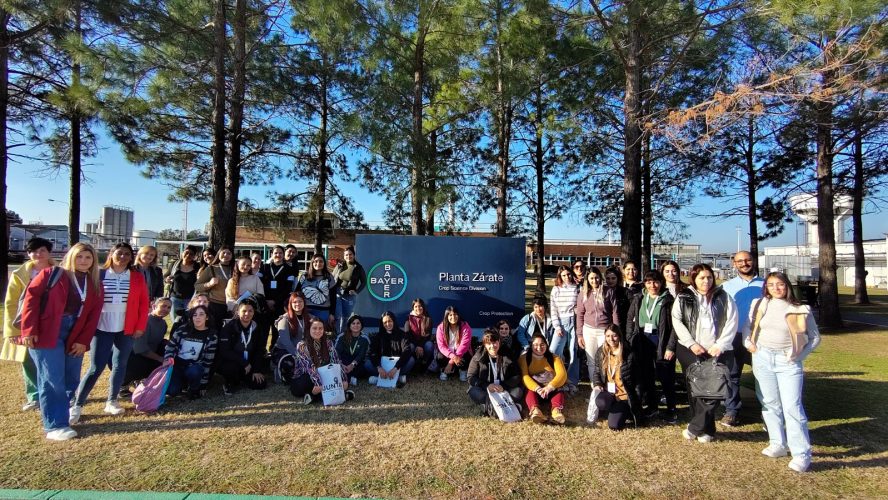 ´Programa JUNTAS BAYER